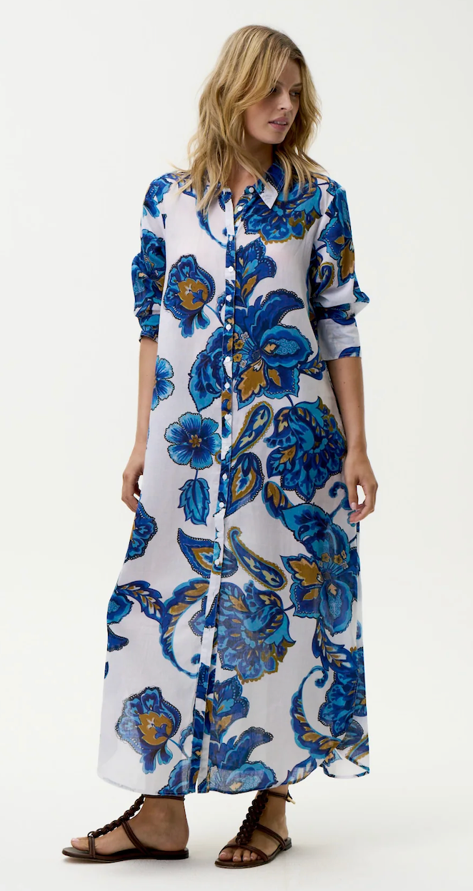One Season > Daisy Blue Flower